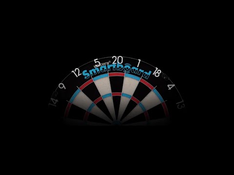 Smartboard Bristle Dartboard