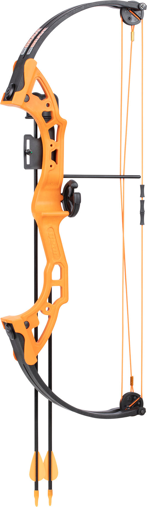 Bear Brave with Biscuit - Orange_1