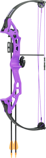 Bear Brave with Biscuit - Purple_1